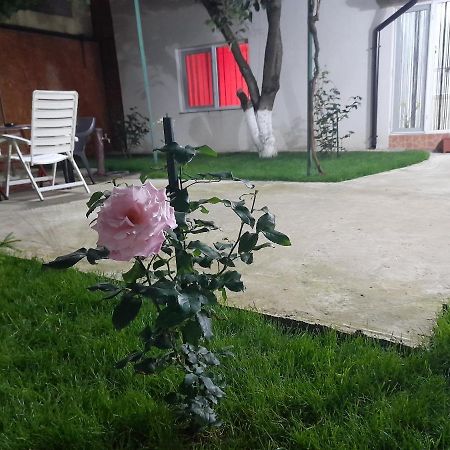 דירות קונסטנצה Cazare La Mare Patrascu מראה חיצוני תמונה