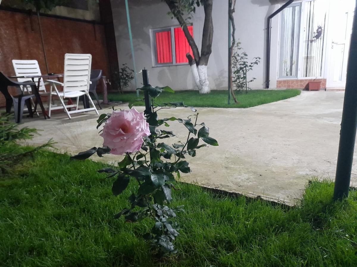 דירות קונסטנצה Cazare La Mare Patrascu מראה חיצוני תמונה